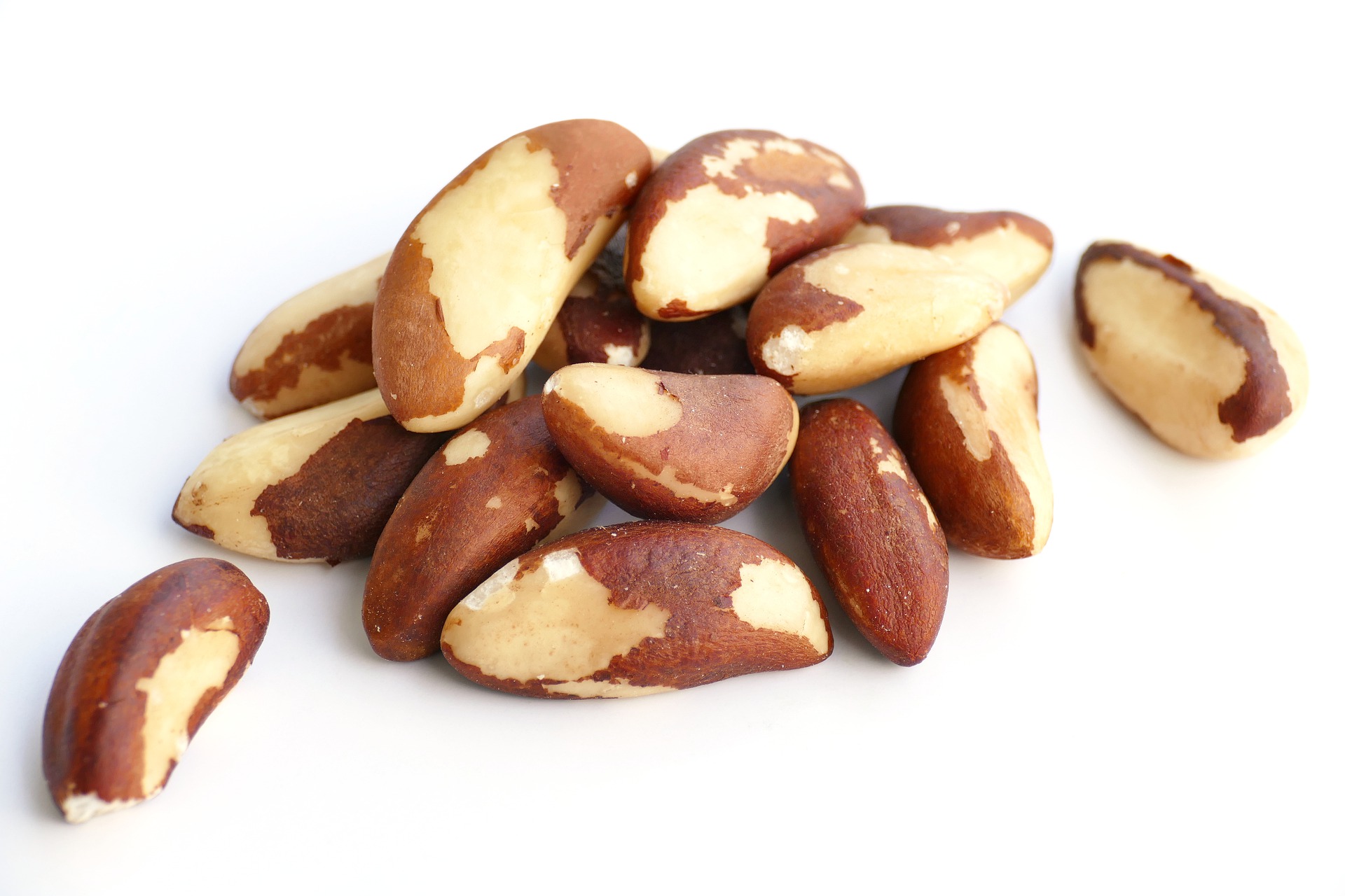 A small pile of Brazil nuts